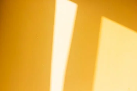 Shade on yellow background 写真素材