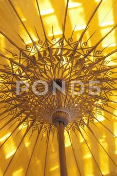 Shade of yellow. Stock Photos