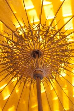 Shade of yellow. Foto stock