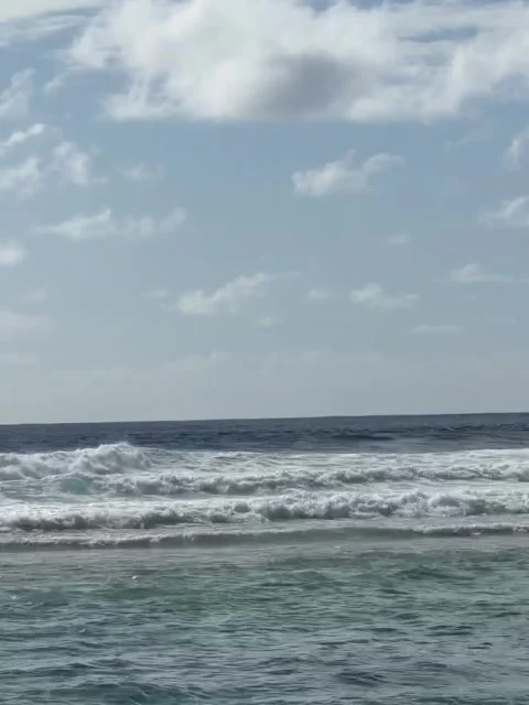 Shaded Beach View of Turquoise Ocean Waves Video stock 341630065