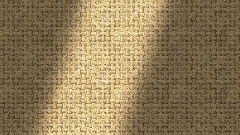 Shaded brown woven pattern background. 2d animation Vidéo 344648371