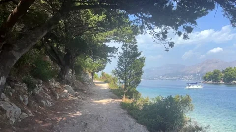 Shaded coastal walking path through pine trees overlooking the Adriatic Sea near Stock Footage 344391694