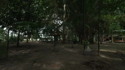 Shaded Forest Area with Hammock in Amazonian Setting Stock-Footage 334170916