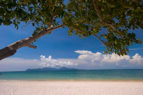 Shaded leaf on an empty beach Stock Photos