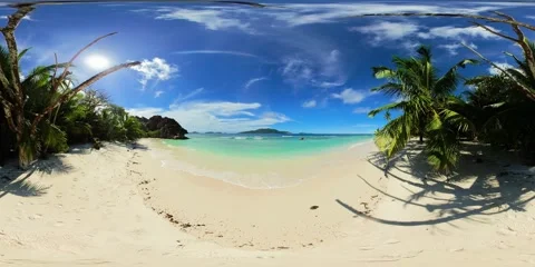 Shaded palm trees along tranquil beach. La Digue, Seychelles. Stock Footage 311037573