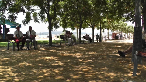Shaded path, with park benches Stock Footage 34926630