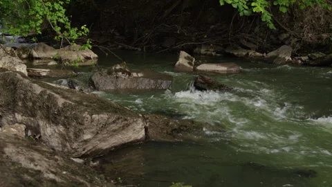 Shaded River Rapids Breaking Against Large Rocks in Woodland Gully Vidéo 345719759