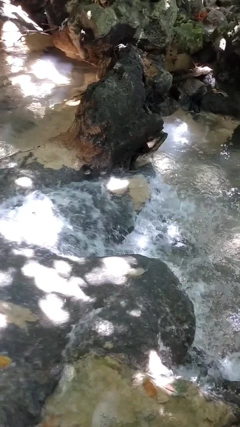 Shaded Stream Over Rocks Stock Footage 331106330