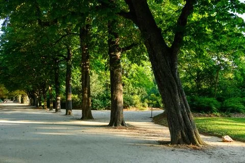 Shaded tree-lined path in Paris city park 스톡 사진
