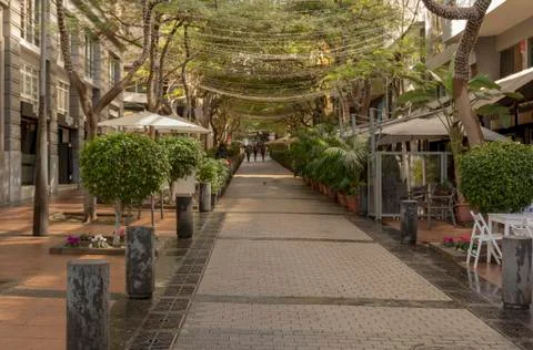 Shaded with with trees Stock Photos