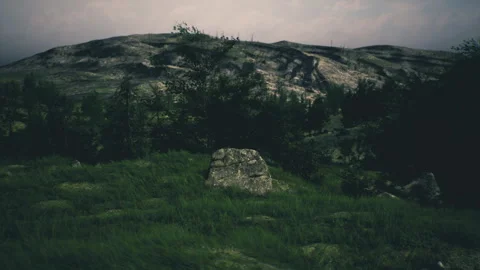 Shaded trees on slope at sunset generate contemplative ambiance Stock Footage 341613626
