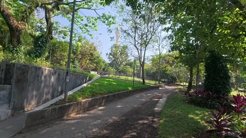 Shaded tropical park pathway winding through lush green trees Stock Footage 342574162