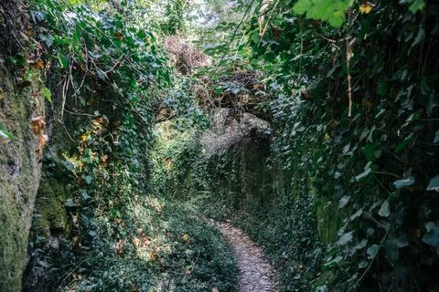 Shaded walking path through forest greenery in Sintra, Portugal Foto stock