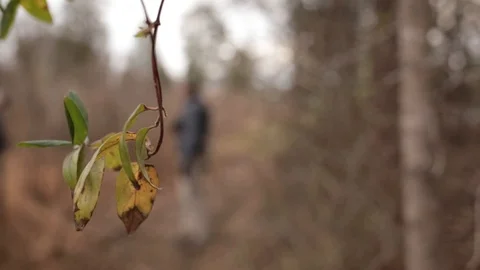 Shades and hat Video stock 104975122