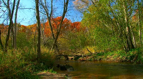 Shades of Autumn Stock Footage 542151