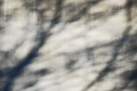 Shades on gray wall background Stock Photos