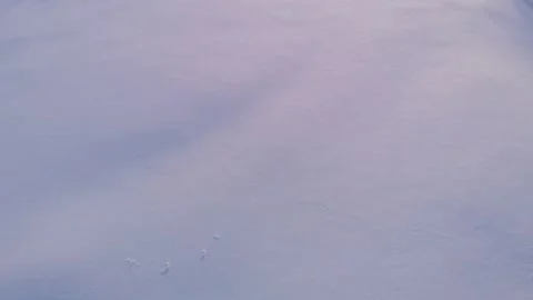 Shades of Snow Stock Footage 171277121