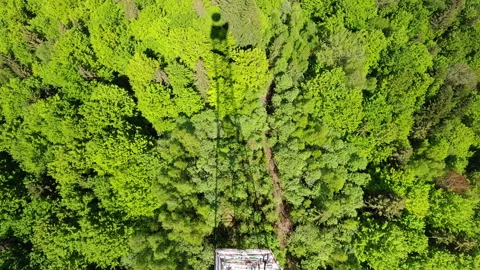 Shadow of 75m telecommunication tower cast on green forest 動画素材 338115423