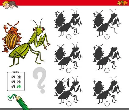 Shadow activity game with bug characters Cartoon Illustration of Finding t... Foto stock