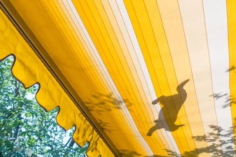Shadow of an adventurous young cat climbing on yellow awning Stock Photos
