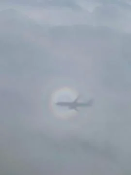 Shadow of the airplane on the  cloud Stock Photos