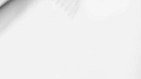 Shadow and Structure: Balancing Angles in Compositional Detail Stock Footage 282543962