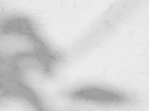 Shadow Background Abstract Leave Overlay Wall Floor Light Effect White Plan.. 스톡 사진