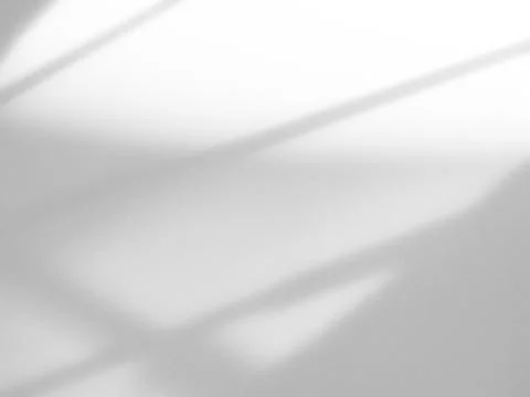 Shadow Background Abstract Leave Overlay Wall Floor Light Effect White Stock Photos