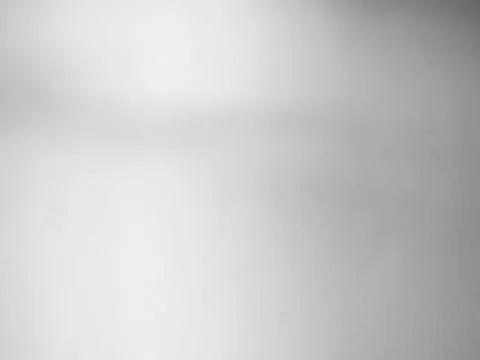 Shadow Background Abstract Leave Overlay Wall Floor Light Effect White 写真素材
