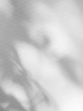 Shadow Background Abstract Leave Overlay Wall Floor Light Effect White Stock Photos