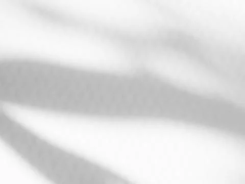 Shadow Background Abstract Leave Overlay Wall Floor Light Effect White Stock Photos
