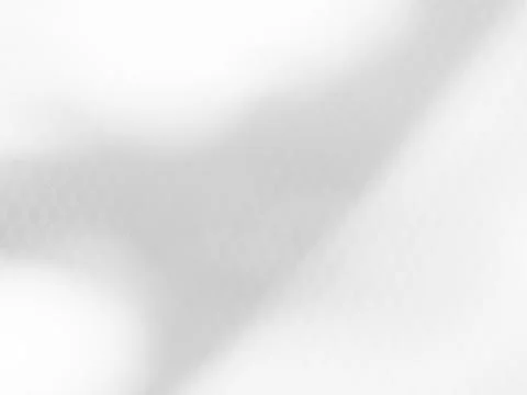 Shadow Background Abstract Leave Overlay Wall Floor Light Effect White Foto stock