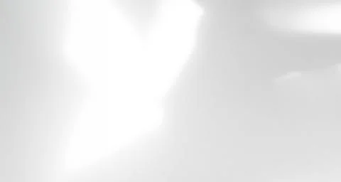 Shadow Background Abstract Leave Overlay Wall Floor Light Effect White 스톡 사진