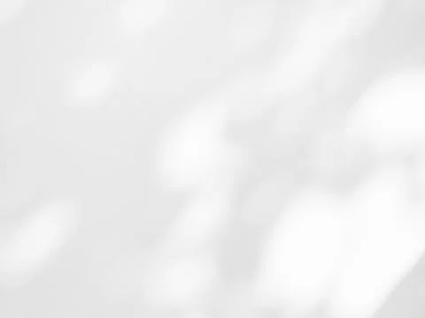 Shadow Background Abstract Leave Overlay Wall Floor Light Effect White Foto stock