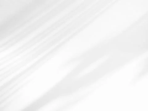 Shadow Background Abstract Leave Overlay Wall Floor Light Effect White 스톡 사진