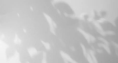 Shadow Background Abstract Leave Overlay Wall Floor Light Effect White Stock Photos