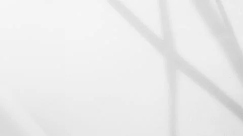 Shadow Background Abstract Leave Overlay Wall Floor Light Effect White Stock Photos