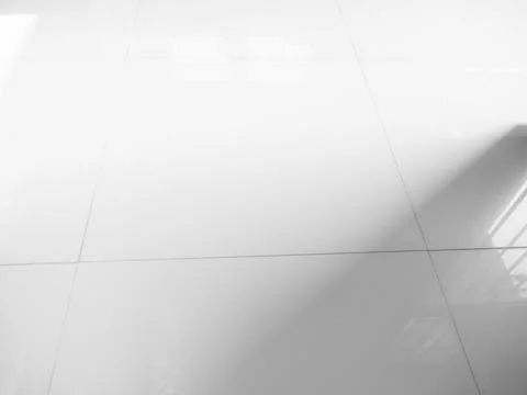 Shadow Background Abstract Leave Overlay Wall Floor Light Effect White Stock Photos