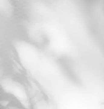 Shadow Background Abstract Leave Overlay Wall Floor Light Effect White Stock Photos