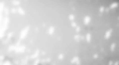 Shadow Background Abstract Leave Overlay Wall Floor Light Effect White Fotos Stock