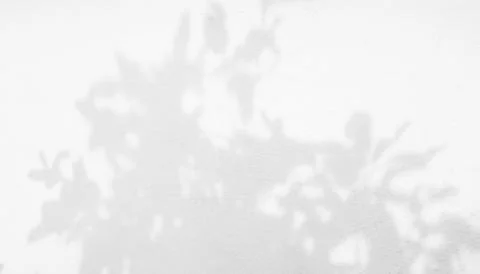 Shadow Background Abstract Leave Overlay Wall Floor Light Effect White Foto stock