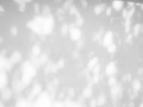 Shadow Background Abstract Leave Overlay Wall Floor Light Effect White Stock Photos