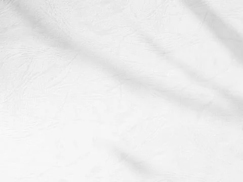 Shadow Background Abstract Leave Overlay Wall Floor Light Effect White Stock Photos