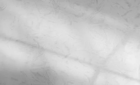 Shadow Background Abstract Leave Overlay Wall Floor Light Effect White Stock Photos