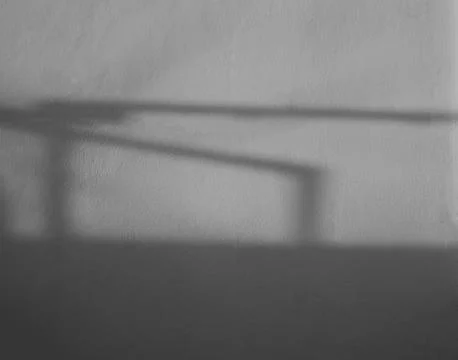 Shadow Background Abstract Leave Overlay Wall Floor Light Effect White Fotos de archivo