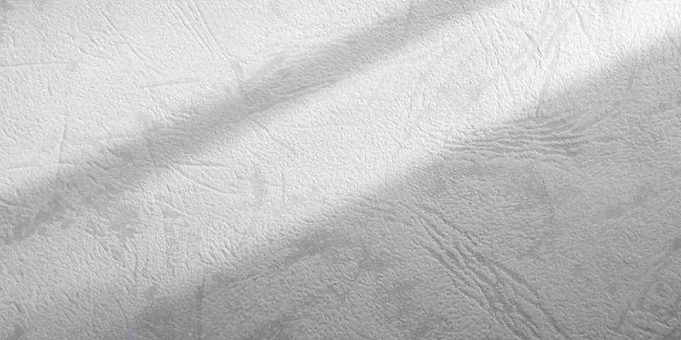 Shadow Background Abstract Leave Overlay Wall Floor Light Effect White Фото