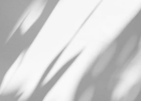 Shadow Background Abstract Leave Overlay Wall Floor Light Effect White 写真素材