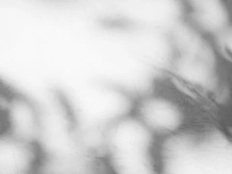 Shadow Background Effect Mockup Frame Abstract Technology Business Stock Photos