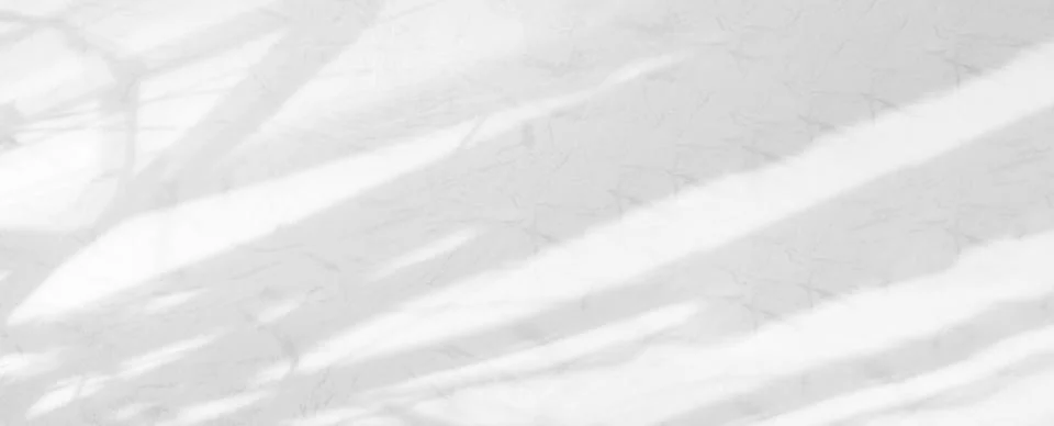 Shadow Background Effect Mockup Frame Abstract Technology Business Stock Photos