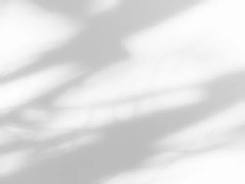 Shadow Background Sunlight Wall Light White Backdrop Plant Overlay Sunlight. Stock Photos